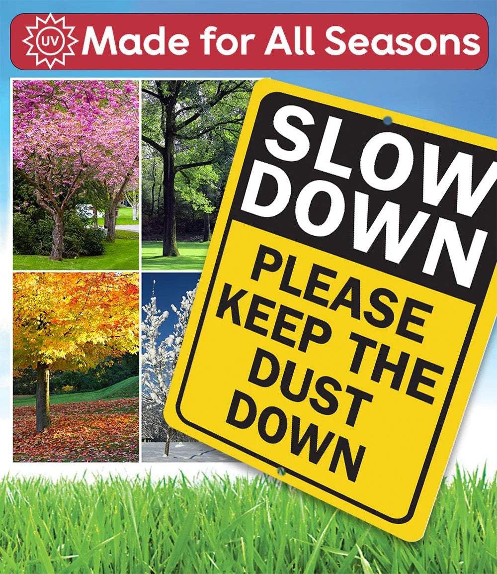 Slow Down Dust Down Metal Sign Lone Star Art