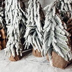 Snow Covered Trees OG Gia Roma