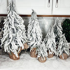 Snow Covered Trees OG Gia Roma