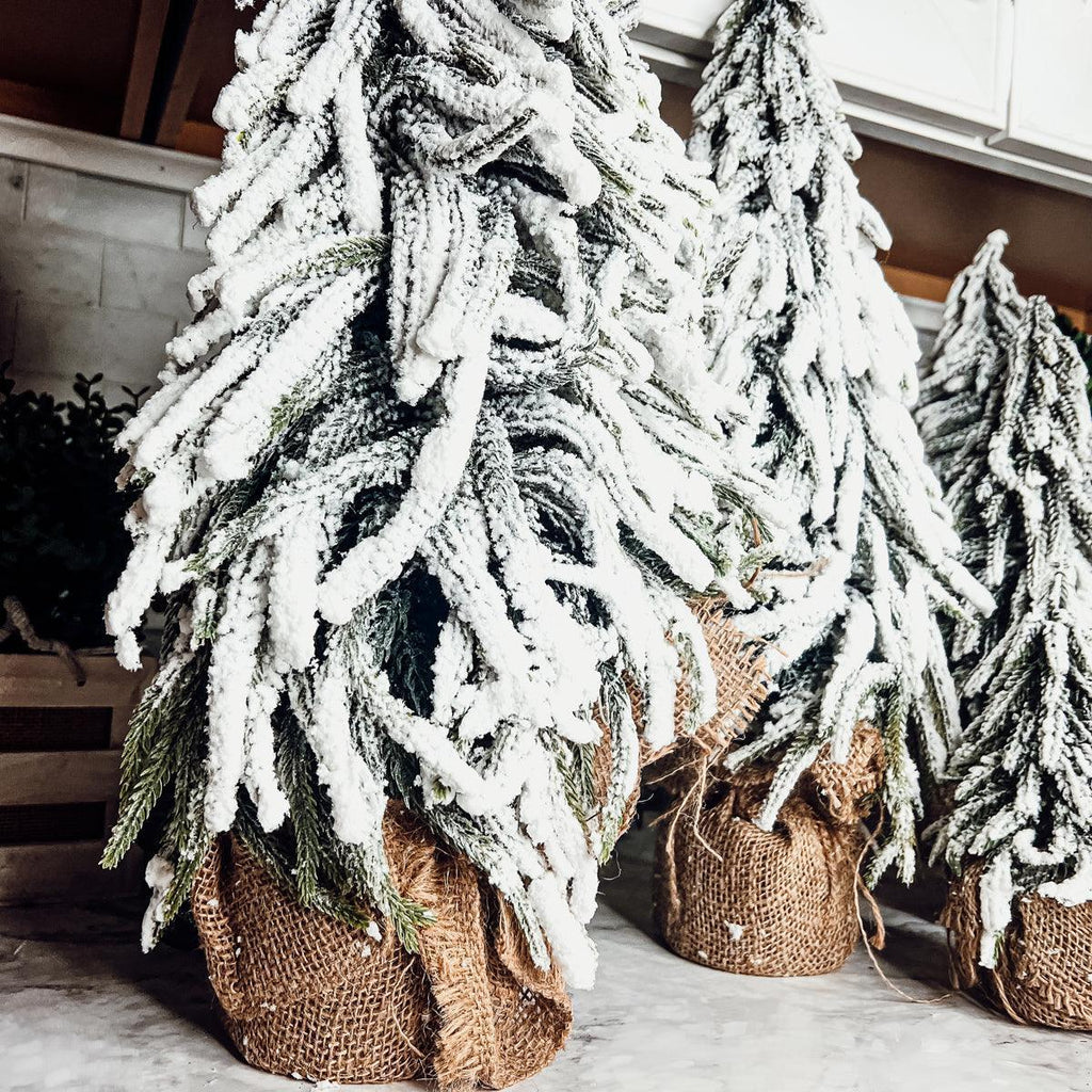 Snow Covered Trees OG Gia Roma