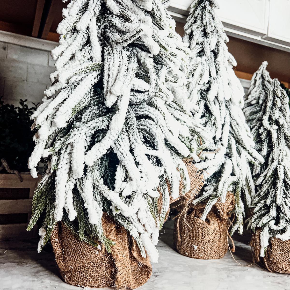 Snow Covered Trees OG Gia Roma