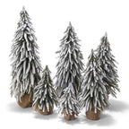 Snow Covered Trees OG Gia Roma