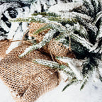 Snow Covered Trees OG Gia Roma