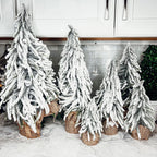 Snow Covered Trees OG Gia Roma