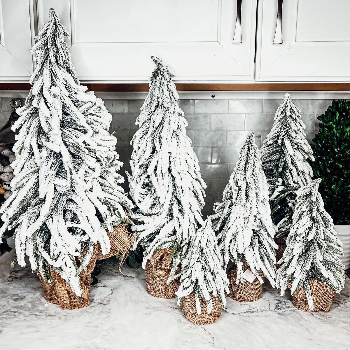 Snow Covered Trees OG Gia Roma