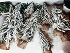 Snow Covered Trees OG Gia Roma
