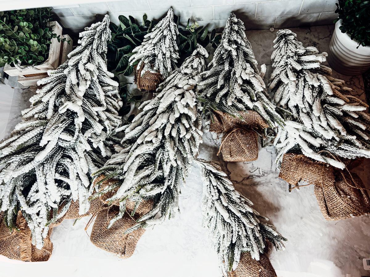 Snow Covered Trees OG Gia Roma
