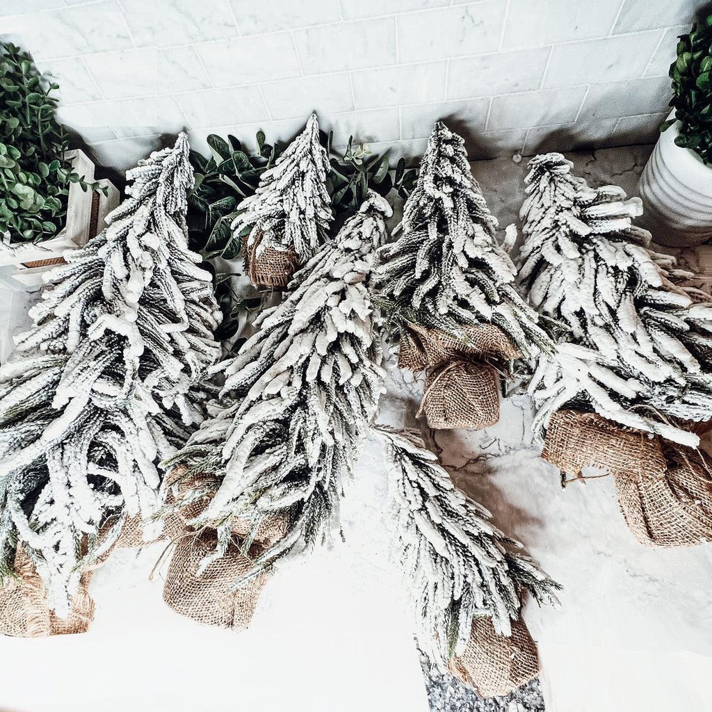 Snow Covered Trees OG Gia Roma