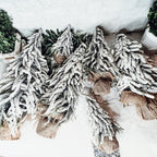 Snow Covered Trees OG Gia Roma