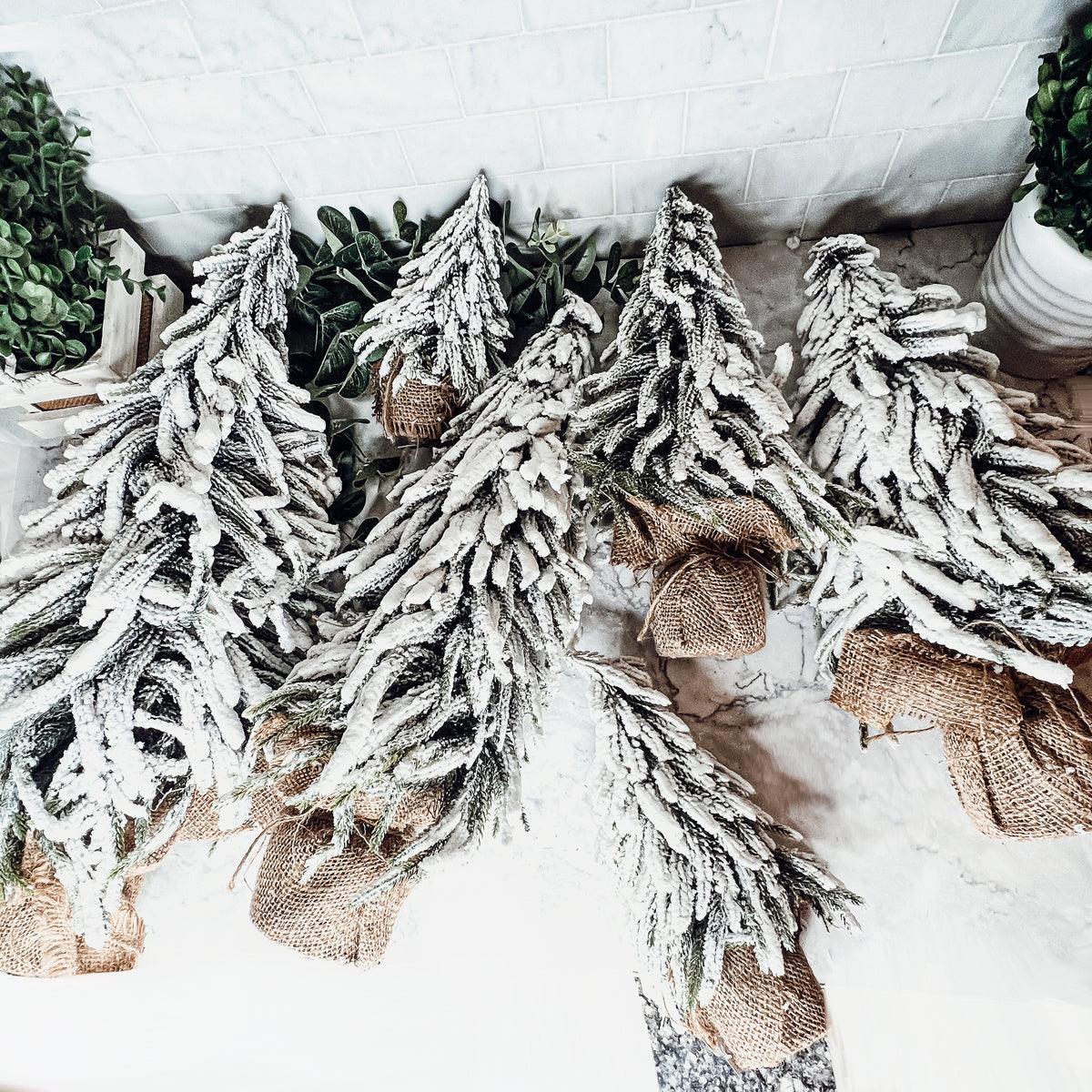 Snow Covered Trees OG Gia Roma