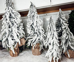Snow Covered Trees OG Gia Roma
