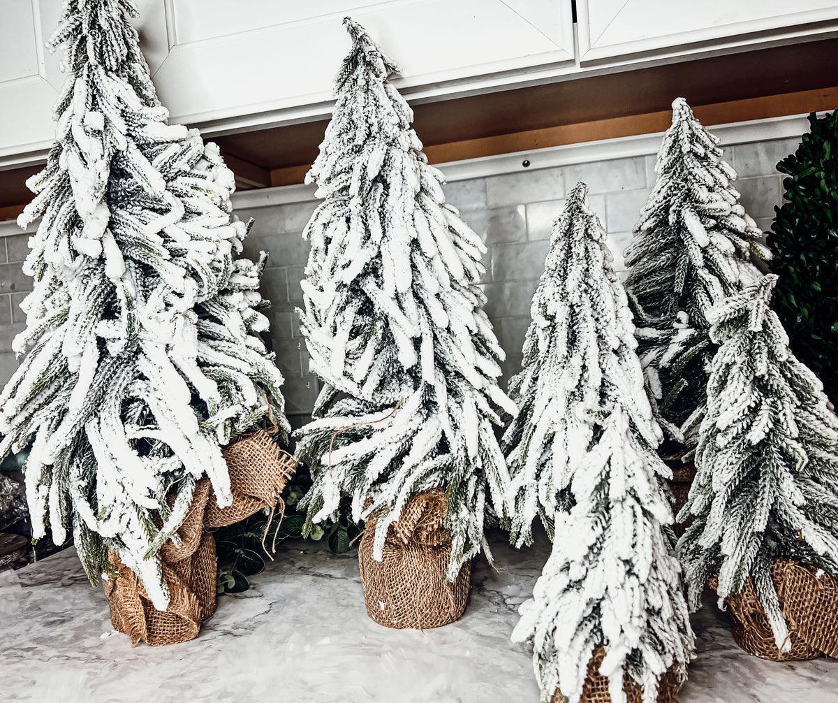 Snow Covered Trees OG Gia Roma