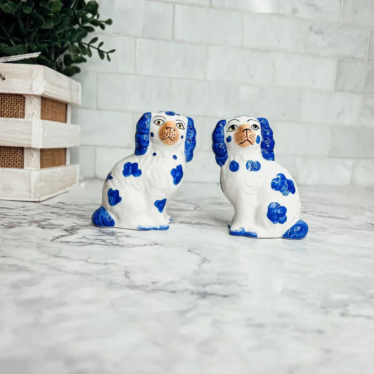 Staffordshire Shakers Gia Roma
