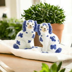 Staffordshire Shakers Gia Roma