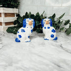 Staffordshire Shakers Gia Roma