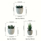 Succulent Plant Set in Concrete Pots, Low Maintenance Indoor Decor, side view - House Of Avana [[SKU:HOA-FLR-004]]