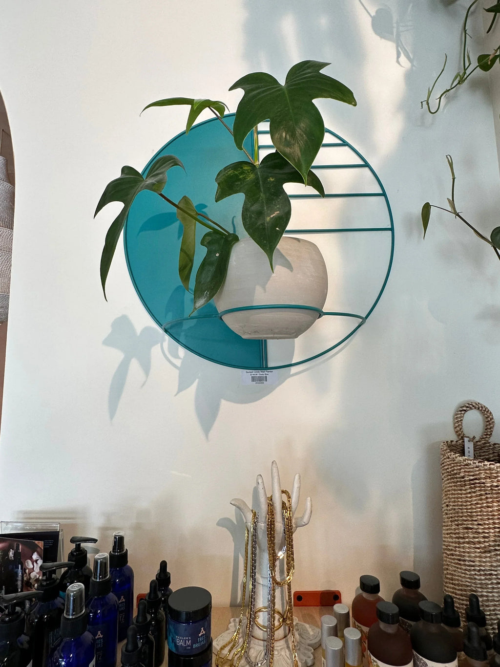 Ceramic Wall Planter Sunset Circle Design Inch Diameter, top view - House Of Avana