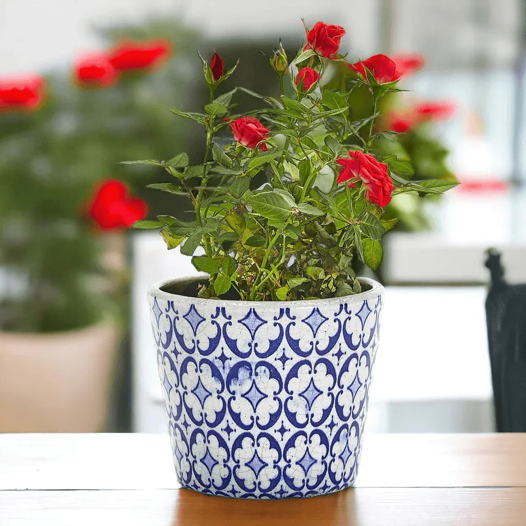 TERRACOTTA POT 5.5" Gia Roma