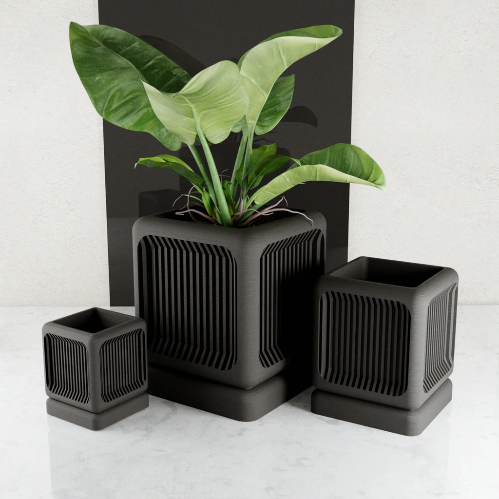 The Box Planter, back view - House Of Avana