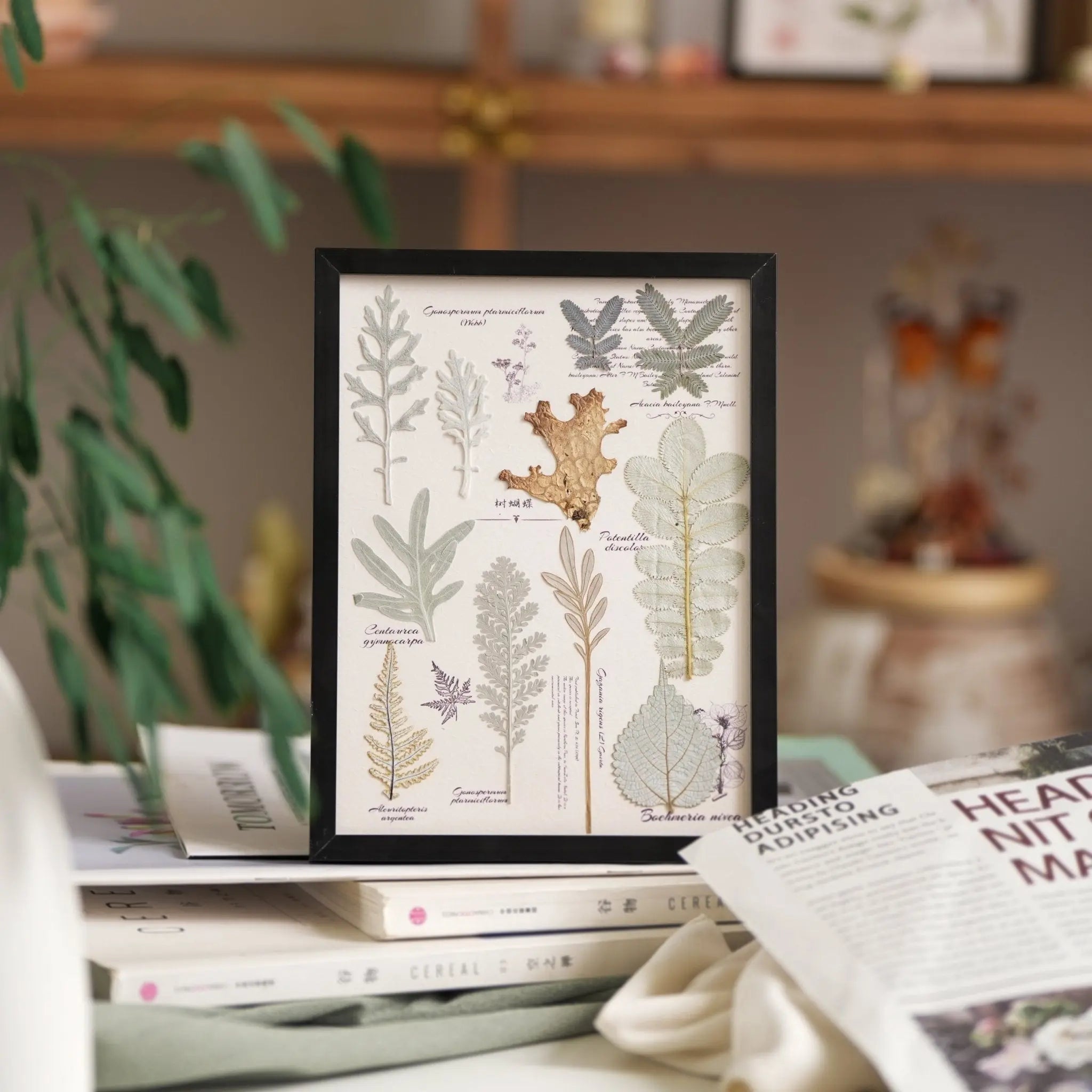 "The Botanist's Journal" Pressed Flower Art Frame