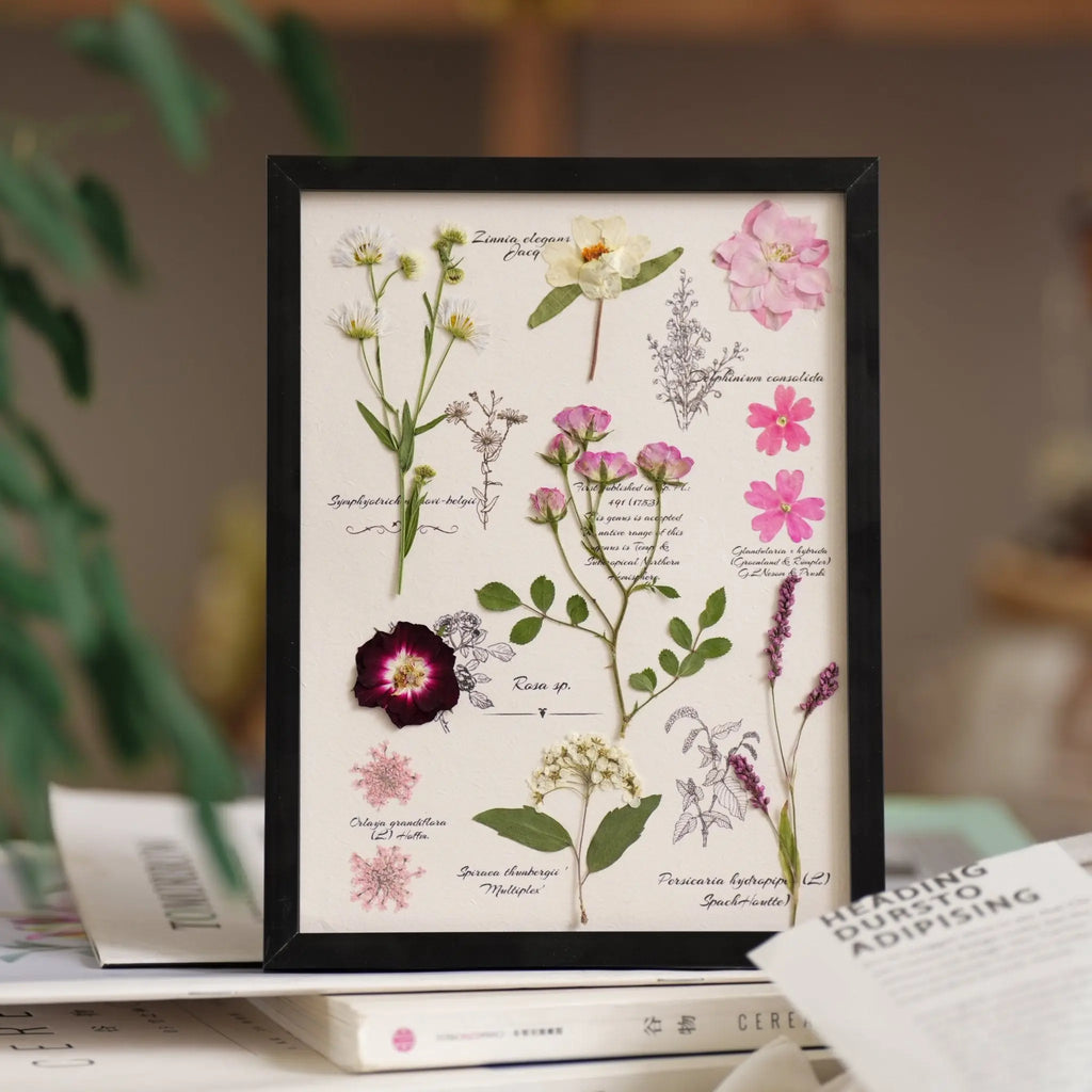 "The Botanist's Journal" Pressed Flower Art Frame