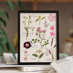 "The Botanist's Journal" Pressed Flower Art Frame