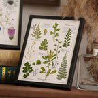 "The Botanist's Journal" Pressed Flower Art Frame
