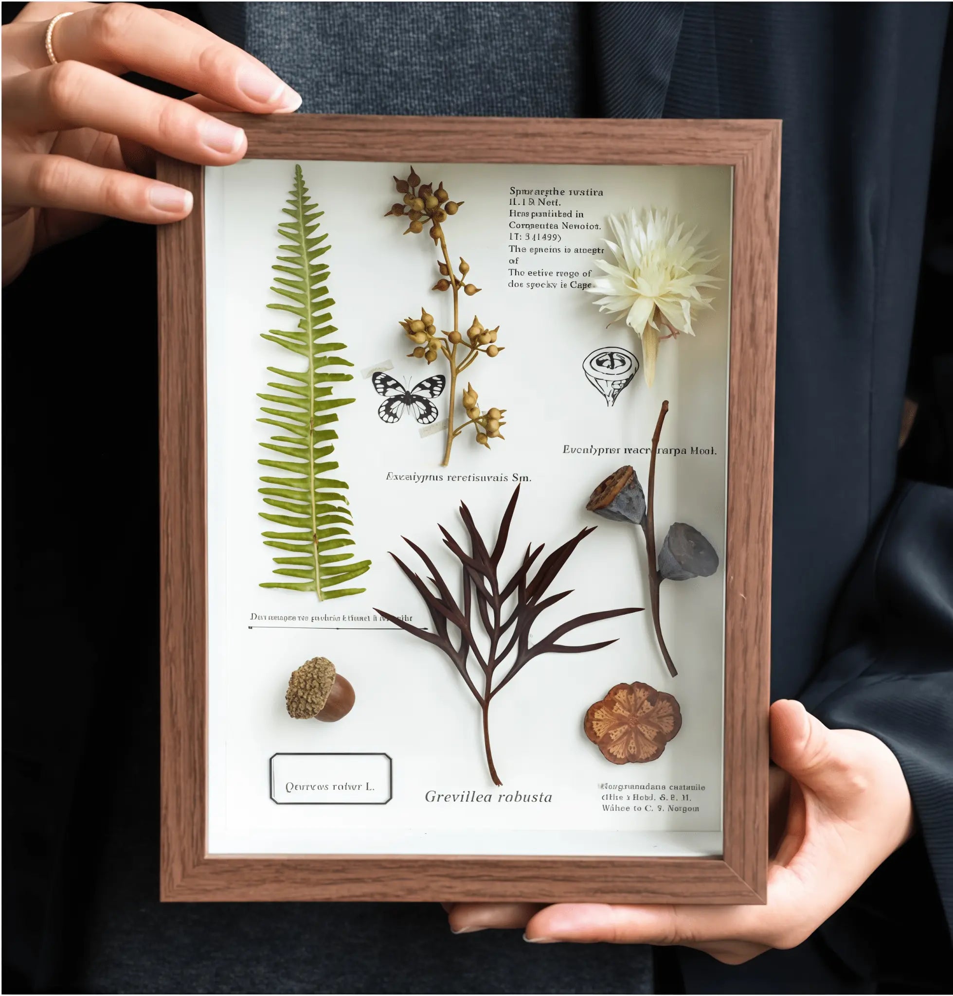 "The Botanist's Journal" Pressed Flower Art Frame