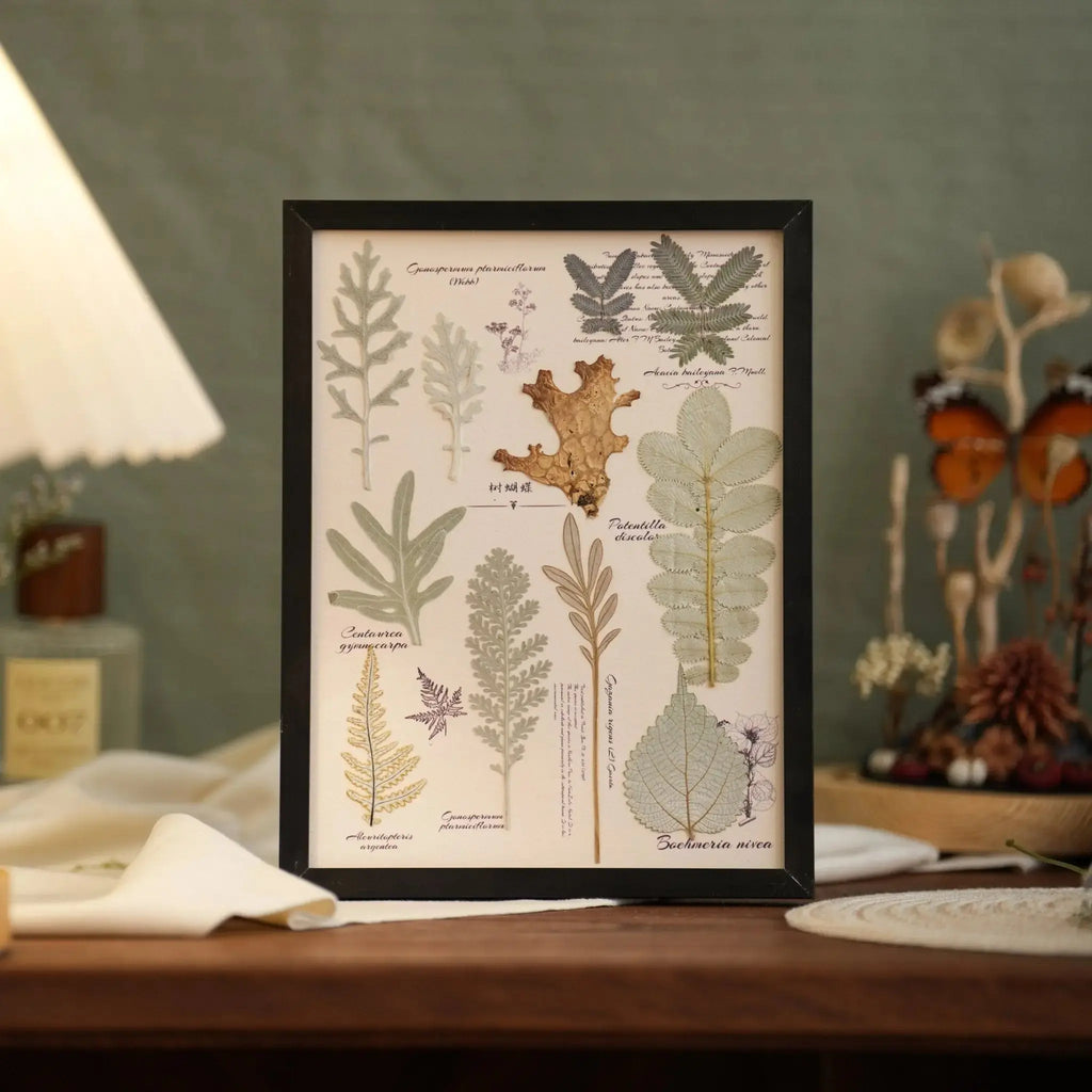 "The Botanist's Journal" Pressed Flower Art Frame