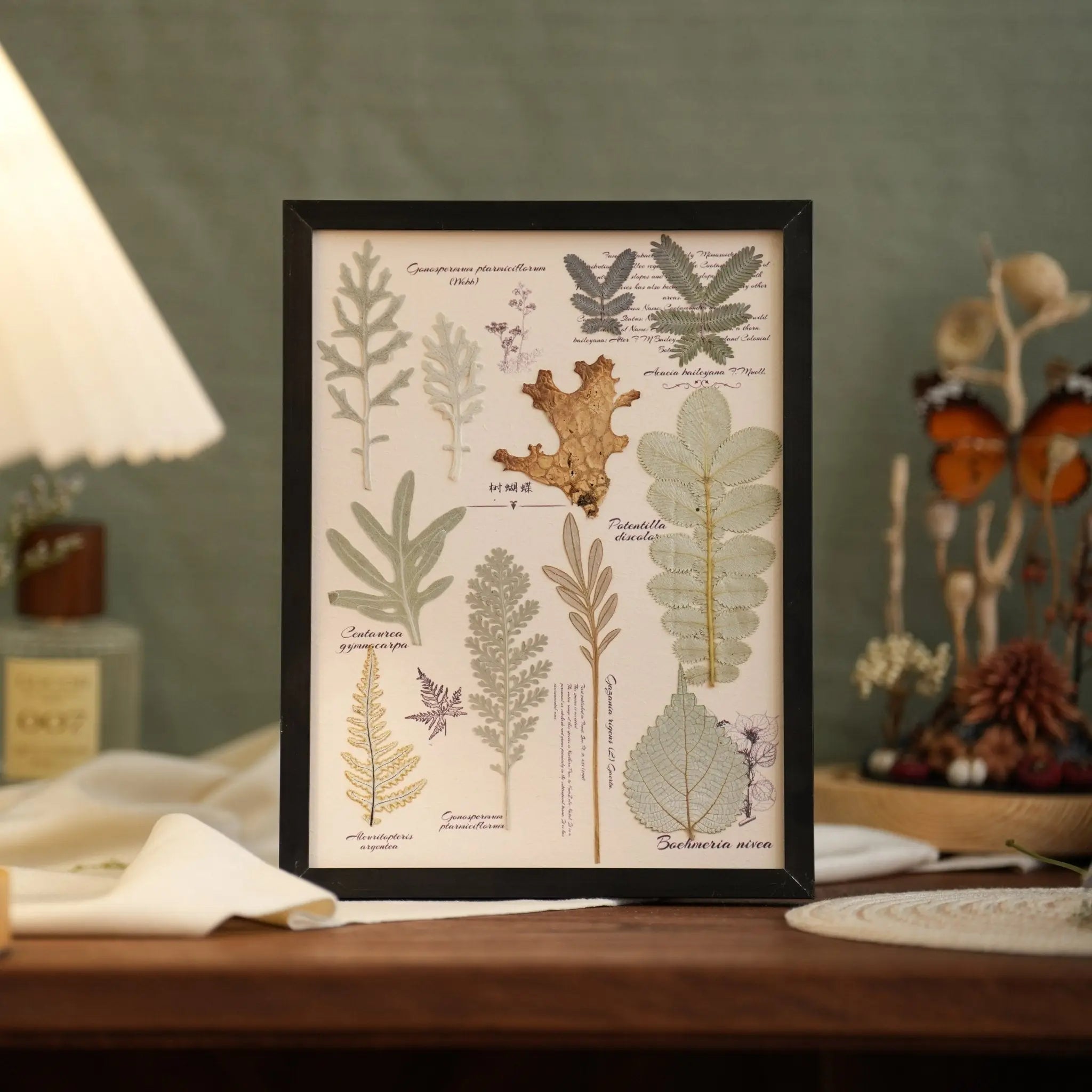 "The Botanist's Journal" Pressed Flower Art Frame