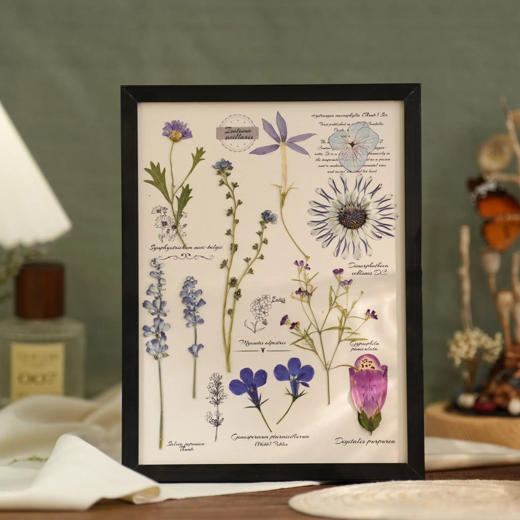 "The Botanist's Journal" Pressed Flower Art Frame