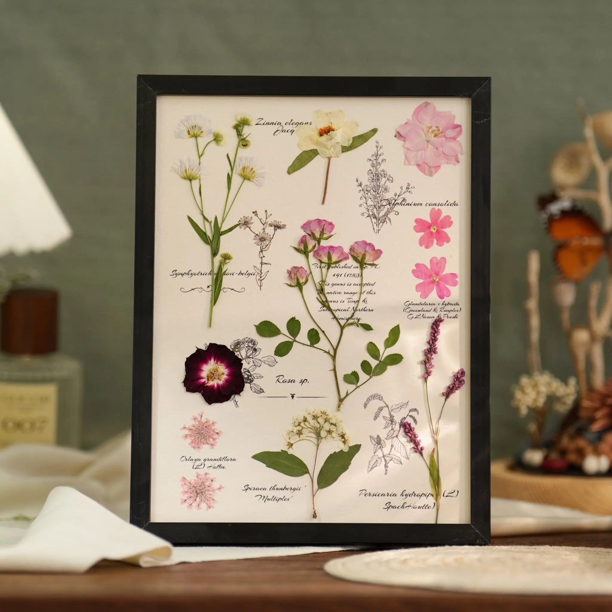 "The Botanist's Journal" Pressed Flower Art Frame