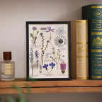 "The Botanist's Journal" Pressed Flower Art Frame