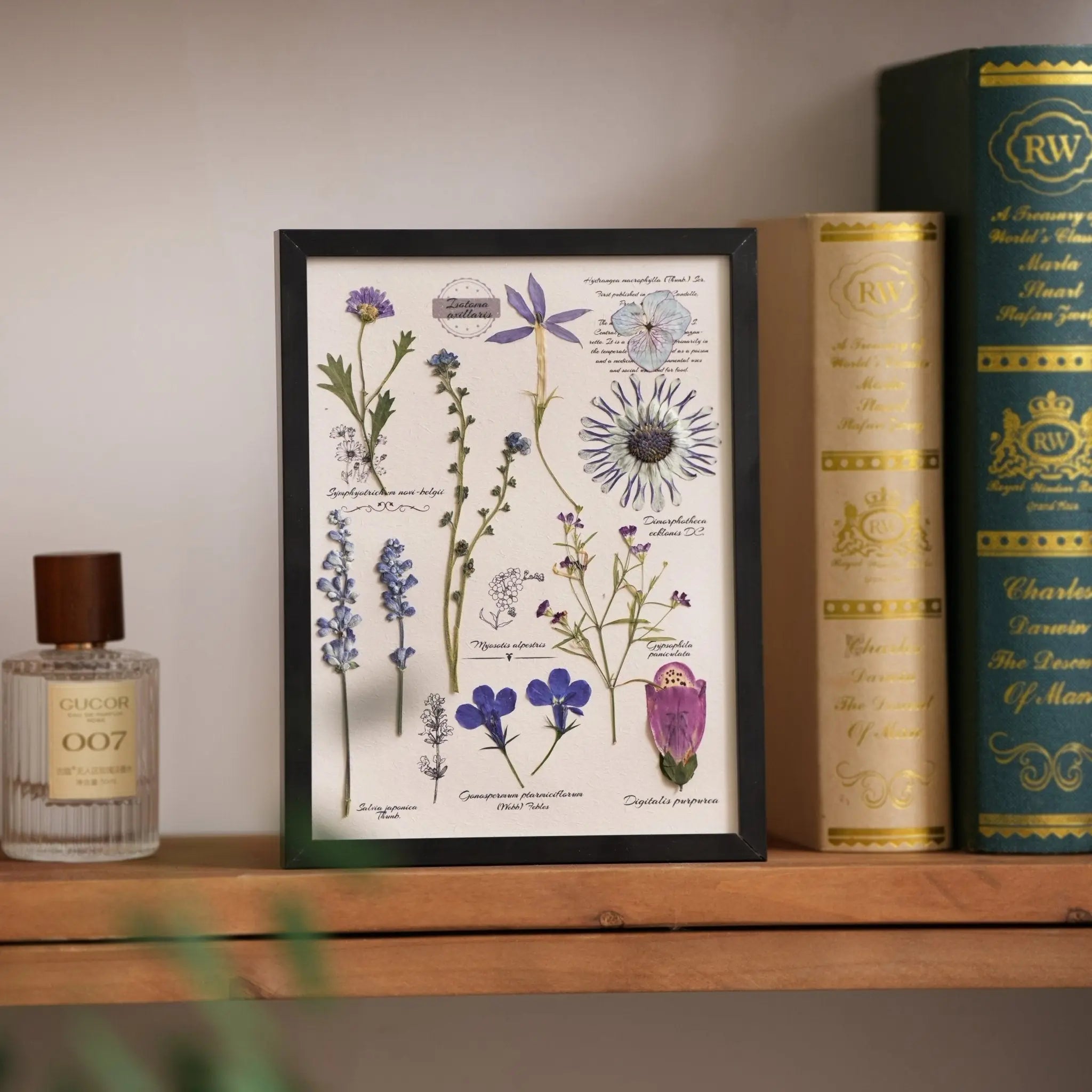"The Botanist's Journal" Pressed Flower Art Frame