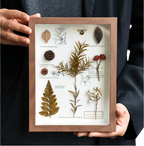"The Botanist's Journal" Pressed Flower Art Frame