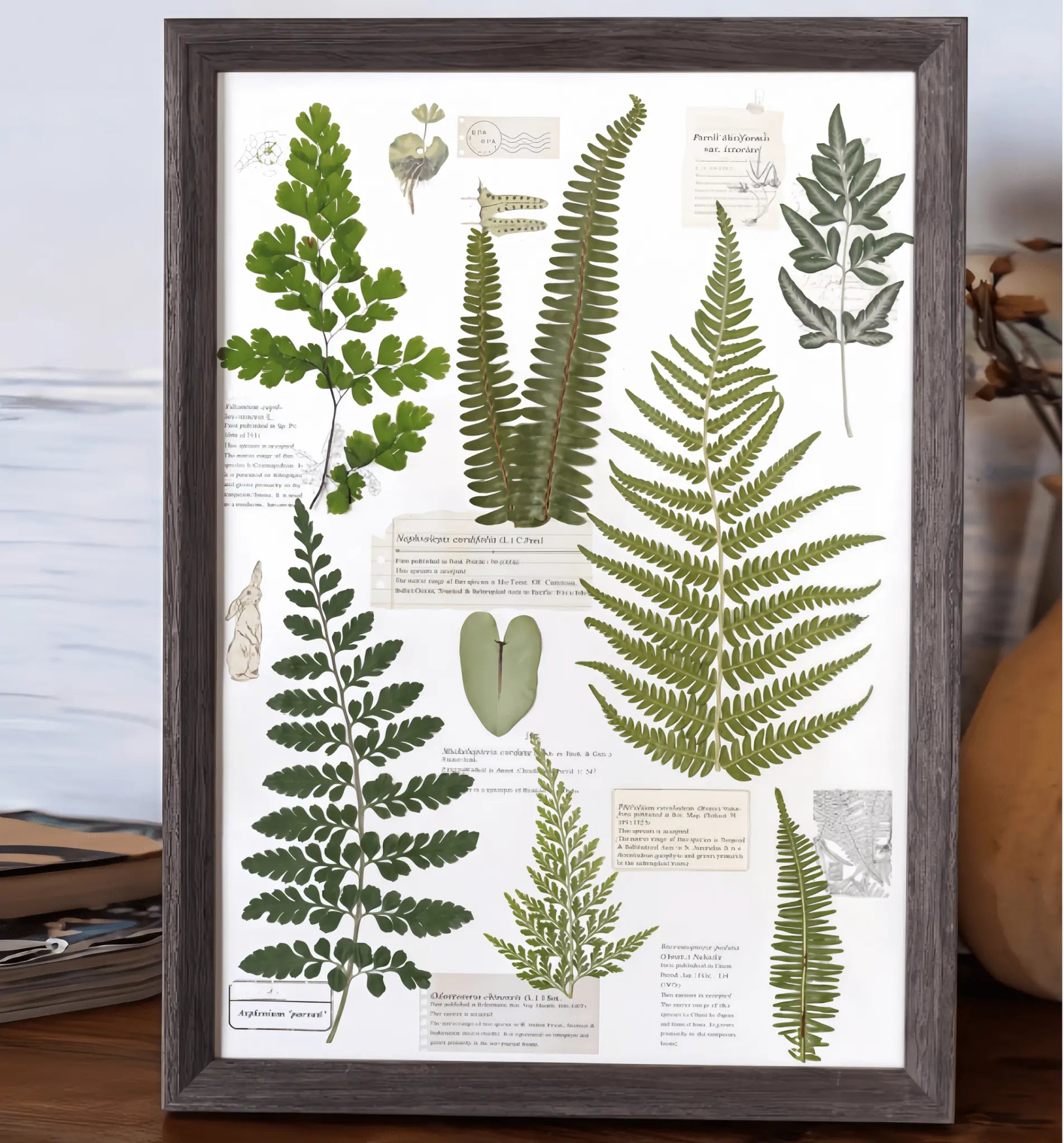 "The Grand Herbarium" Pressed Fern Flower Art