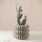 Triple Bubble Orchid Planter Modernized Pottery