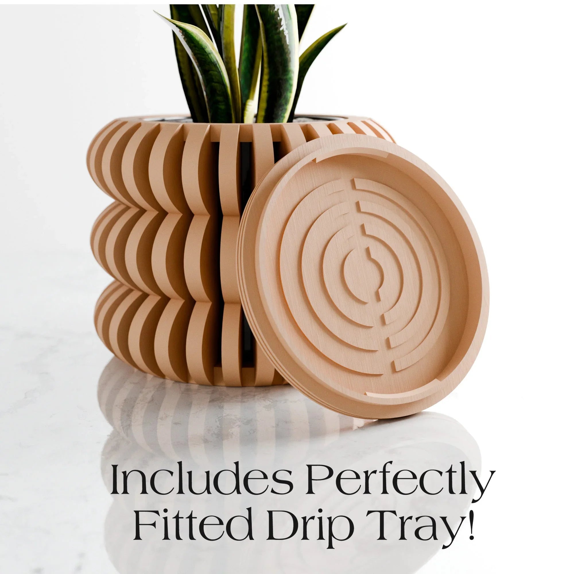 Triple Bubble Orchid Planter, top view - House Of Avana