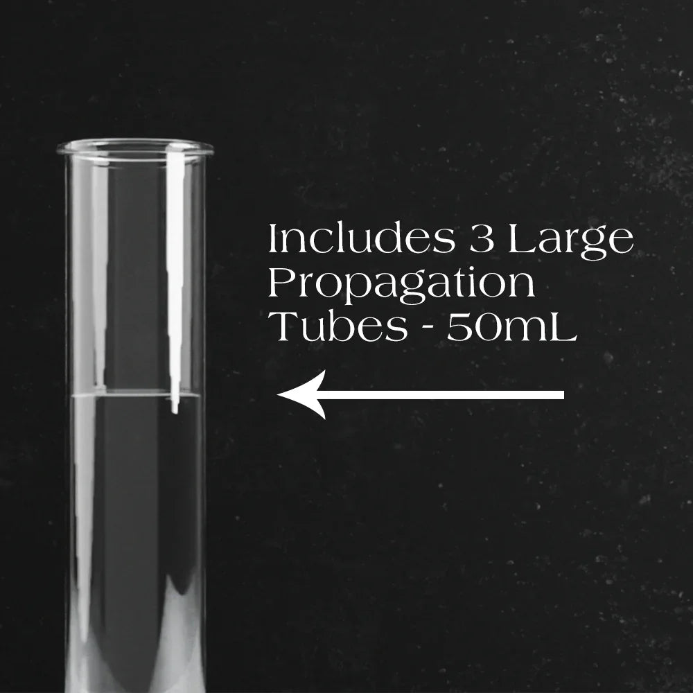 QUINTUPLE Propagation Stand Modernized Pottery