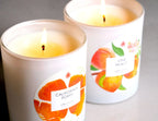 Vine Peach 10oz Signature Jewelry Candle JewelScent