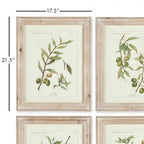 Vintage Botanical Olive Prints with Whitewashed Wood Frames (Set of 4) Vintage Shopper
