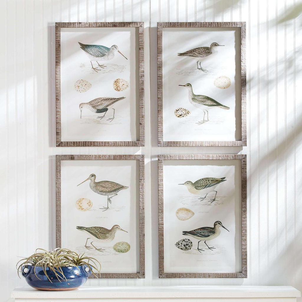 Vintage Coastal Bird Prints Wall Art (Set of 4) Vintage Shopper