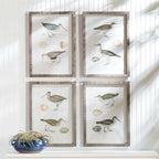 Vintage Coastal Bird Prints Wall Art (Set of 4) Vintage Shopper