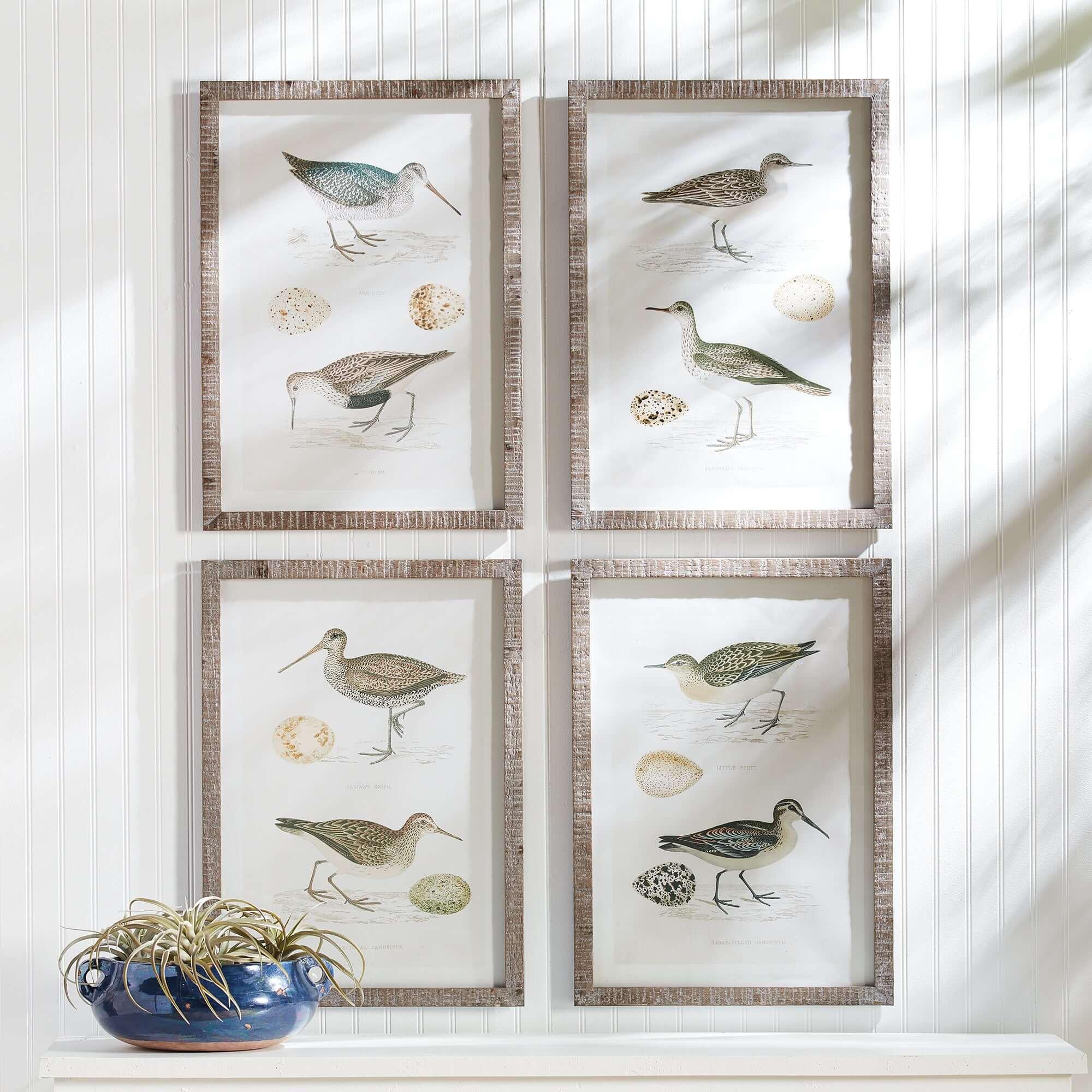 Vintage Coastal Bird Prints Wall Art (Set of 4) Vintage Shopper