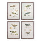 Vintage Coastal Bird Prints Wall Art (Set of 4) Vintage Shopper