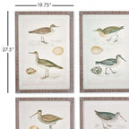 Vintage Coastal Bird Prints Wall Art (Set of 4) Vintage Shopper