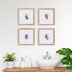 Vintage Coastal Seashell Wall Art Set (Set of 4) Vintage Shopper
