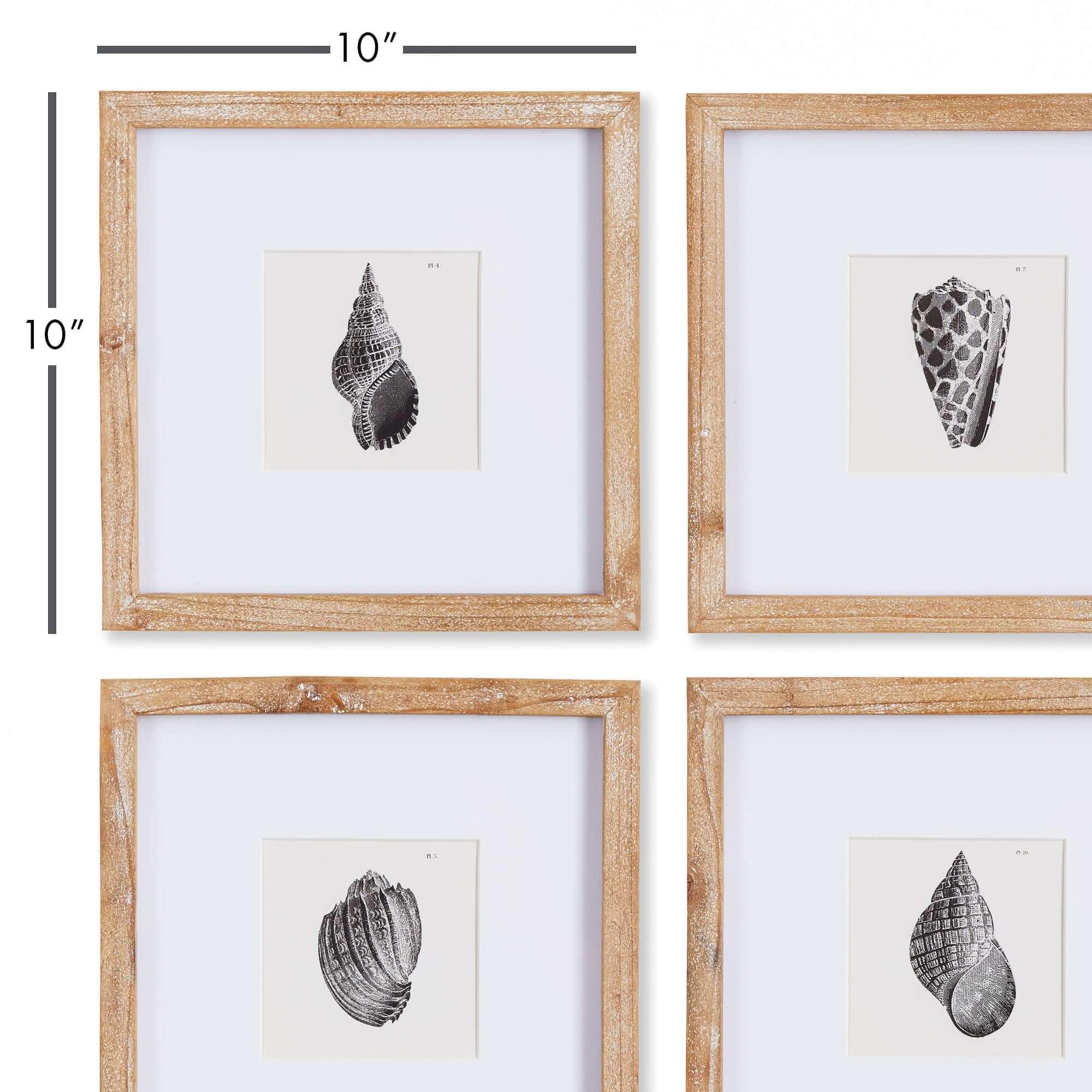 Vintage Coastal Seashell Wall Art Set (Set of 4) Vintage Shopper