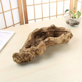 Vintage Wood Bark Planter for Succulents House Of Avana