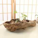 Vintage Wood Bark Planter for Succulents House Of Avana